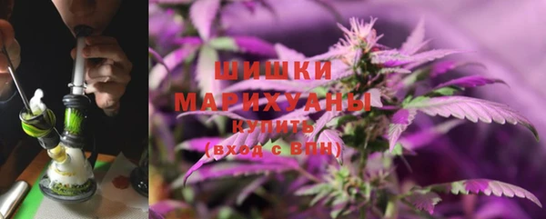 ПСИЛОЦИБИНОВЫЕ ГРИБЫ Пересвет