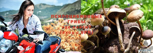 ешки Переславль-Залесский