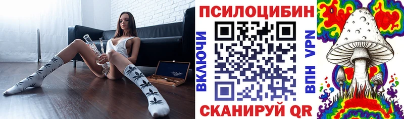 дарнет шоп Серафимович Псилоцибиновые грибы ЛСД